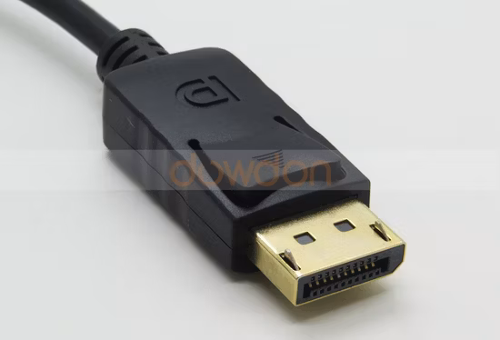 Display Port Male to Female Converter Video Adapter Cable Dp to DVI